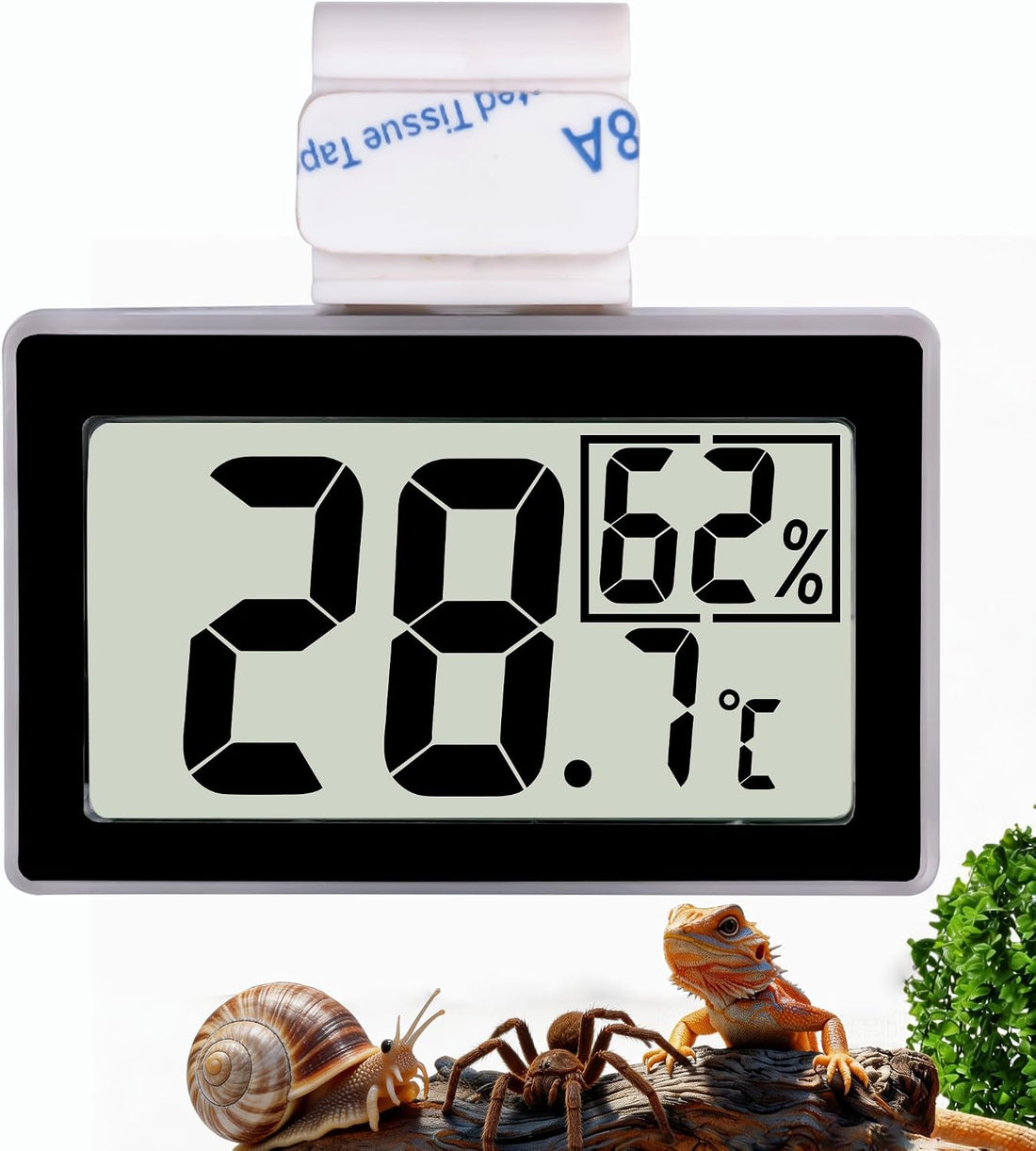 Reptile Thermometer Hygrometer