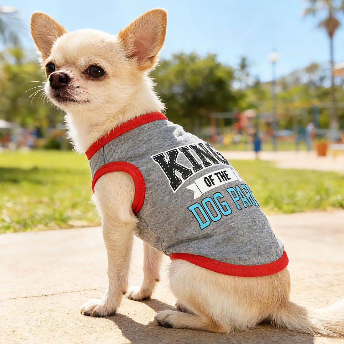 4 Pieces Dog Clothes for Small Dogs Boy Dog Shirt Puppy Clothes