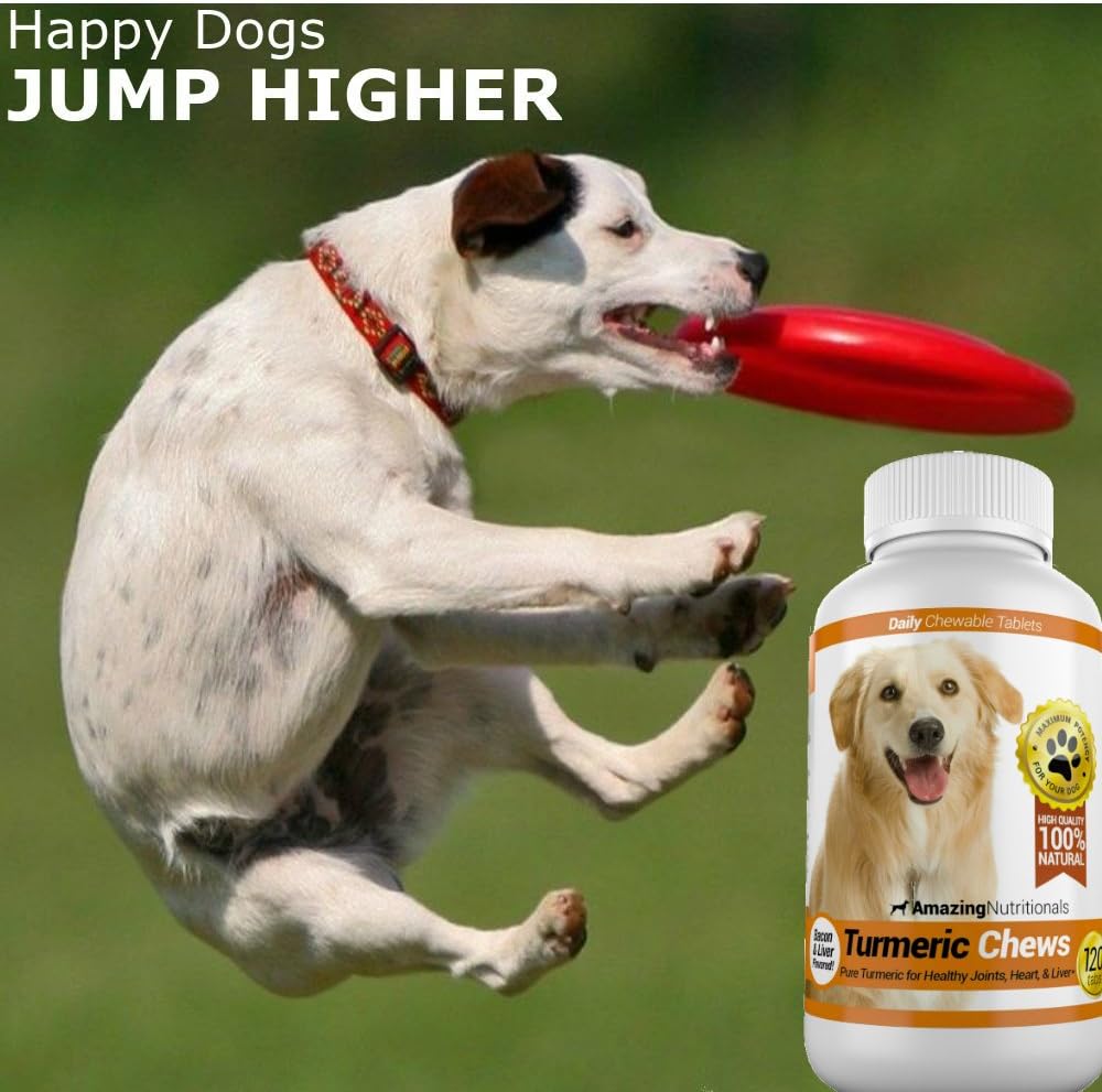 Amazing Turmeric for Dogs Curcumin Pet Antioxidant