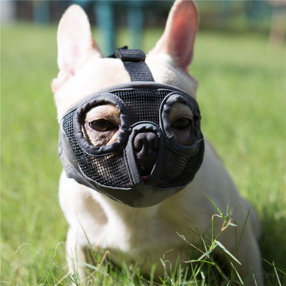 Short Snout Dog Muzzle- Adjustable Breathable Mesh Bulldog Muzzle