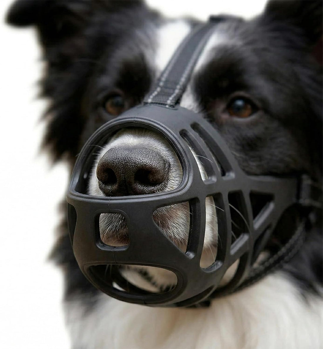 Breathable Basket Dog Muzzle for Extra Large Dogs