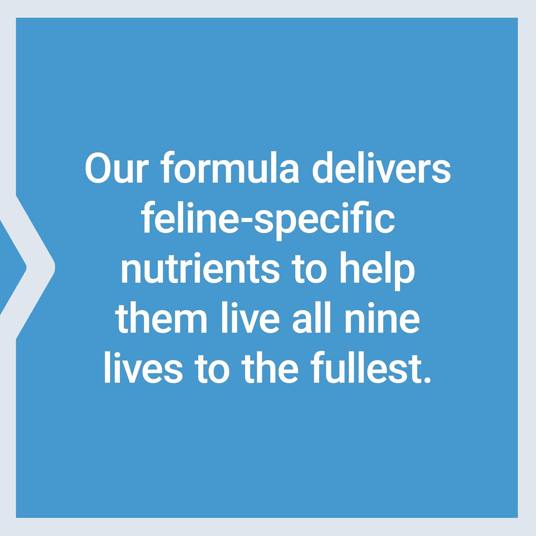 Life Extension Cat Mix, cat Food Supplements, Heart Health, probiotics