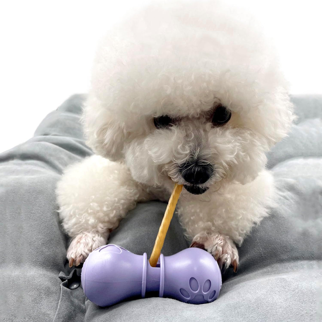 BoniVet Bully Stick Holder for Dogs, Chew Holder