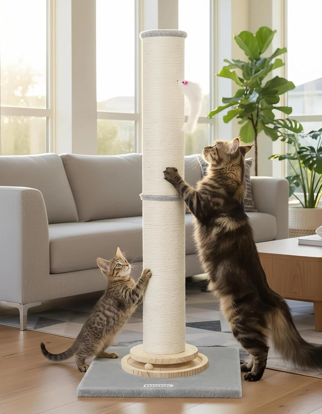 Globlazer Extra Thick Cactus Scratching Posts for Indoor Large Cats