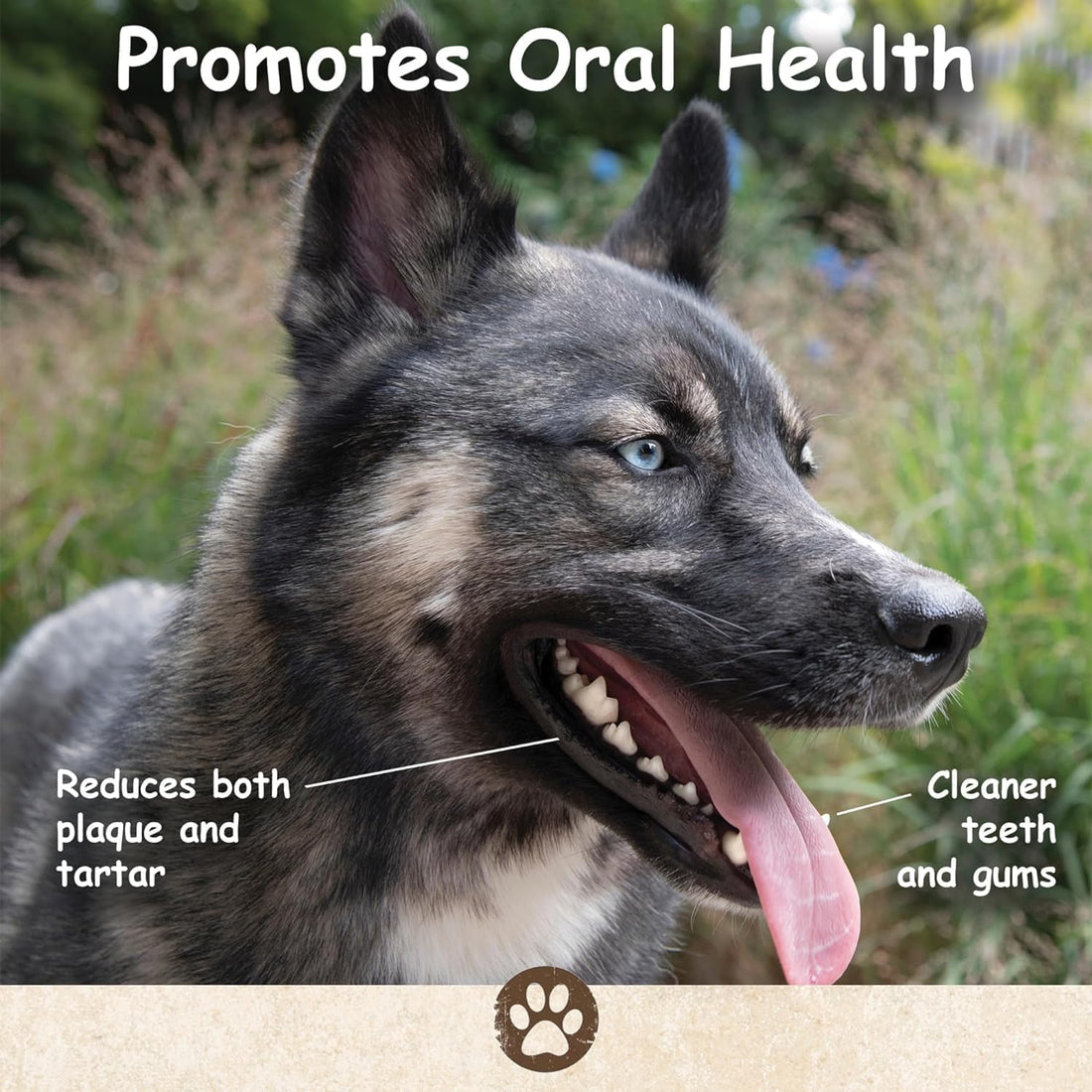 Top Dog Chews – 100 Pack, Pig Ears for Dogs, Whole