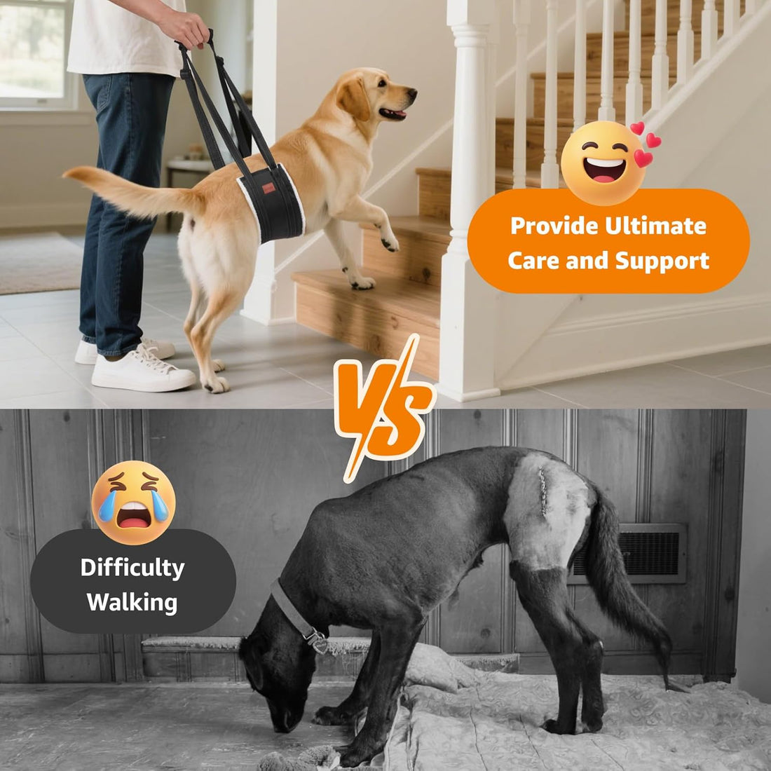 LOOBANI Portable Dog Sling for Back Legs