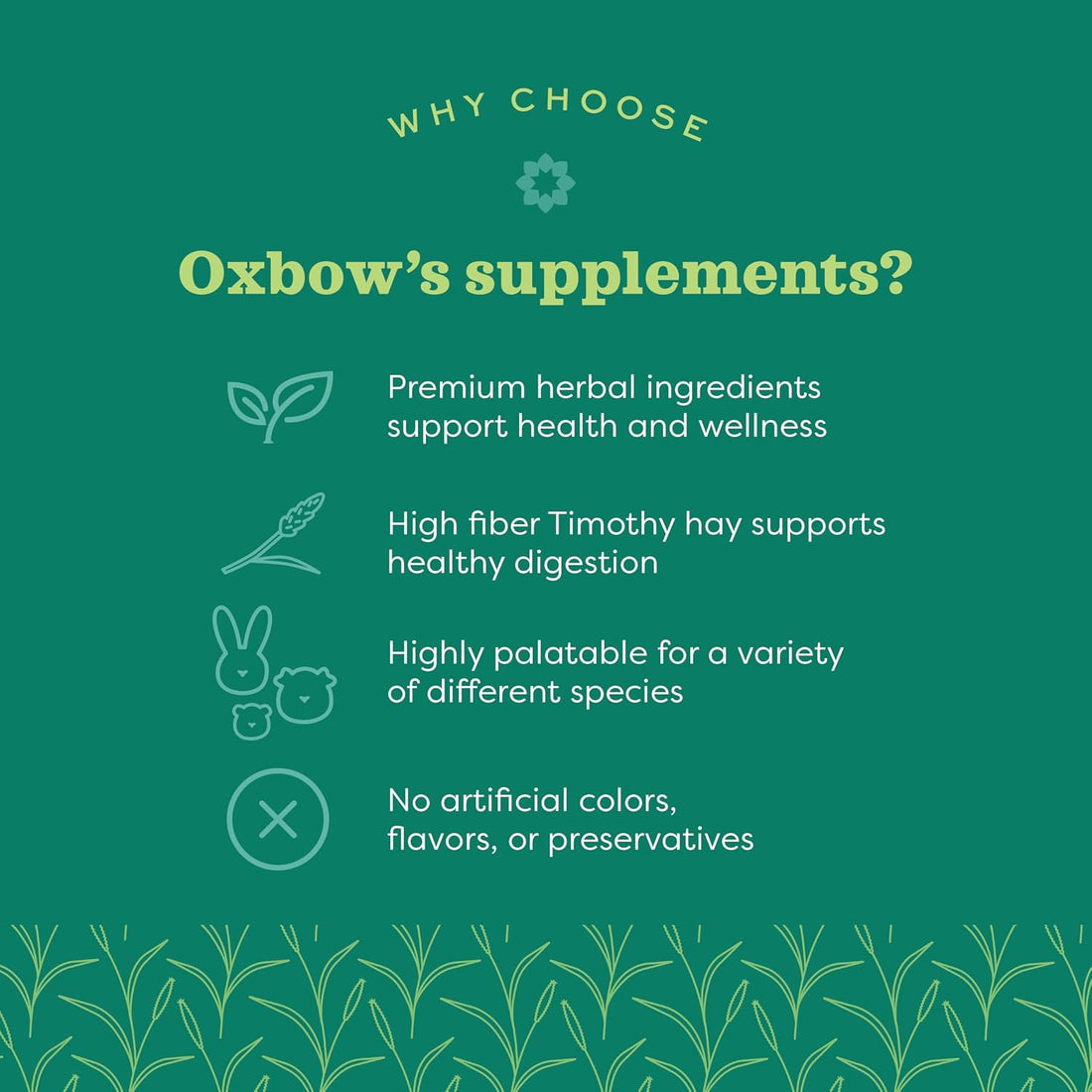 Oxbow Natural Science Skin & Coat Support for Rabbits & Guinea Pigs