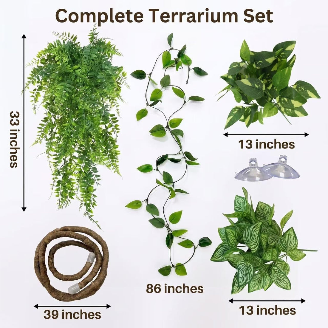 Reptile Plants for Terrarium, Bearded Dragon Tank Accessories