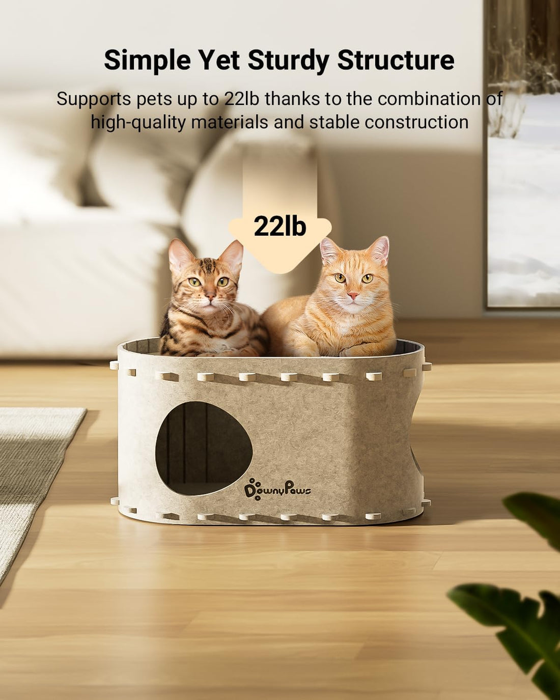 DownyPaws Cat House for Indoor Cats