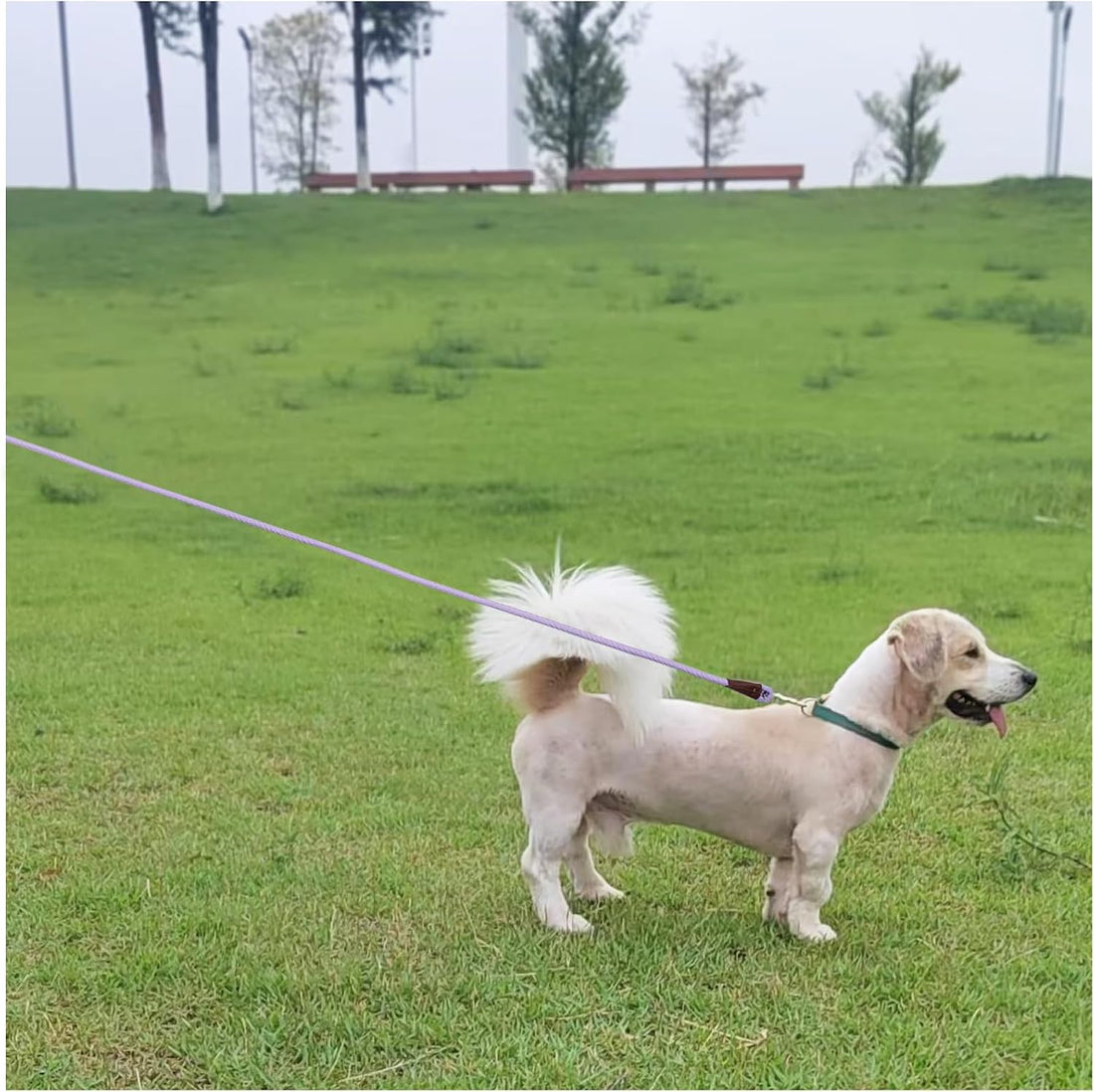 MayPaw Small Rope Dog Leash 6FT 8FT 10FT