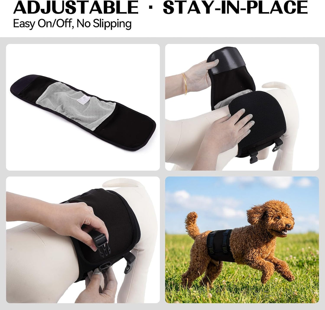 DENTRUN Male Dog Wrap, Adjustable Belly Band Leak-Proof & Lick