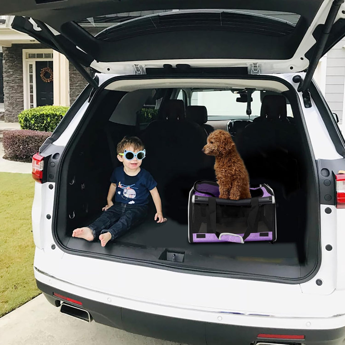 GAPZER Soft-Sided Pet Carrier