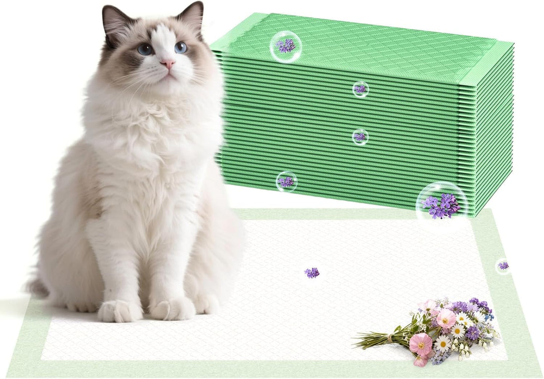 Cat Pad Refills for Litter Box