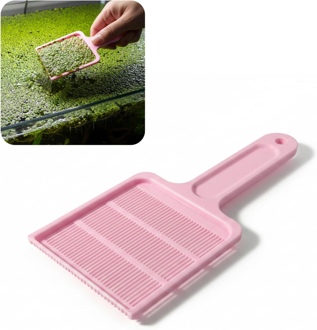 Duckweed Remover Tool for Aquarium, Floating Plant Skimmer
