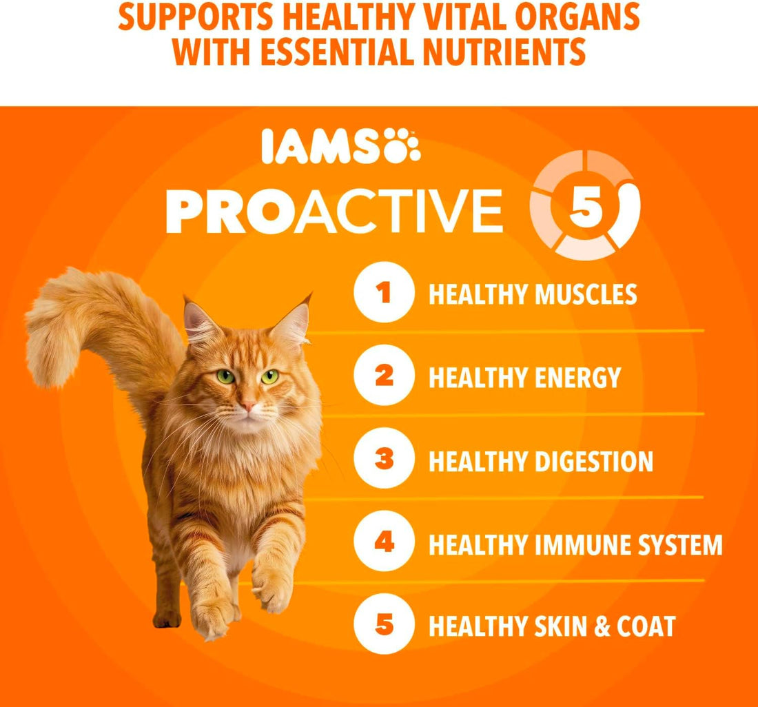 IAMS Proactive Health Dry Cat Food