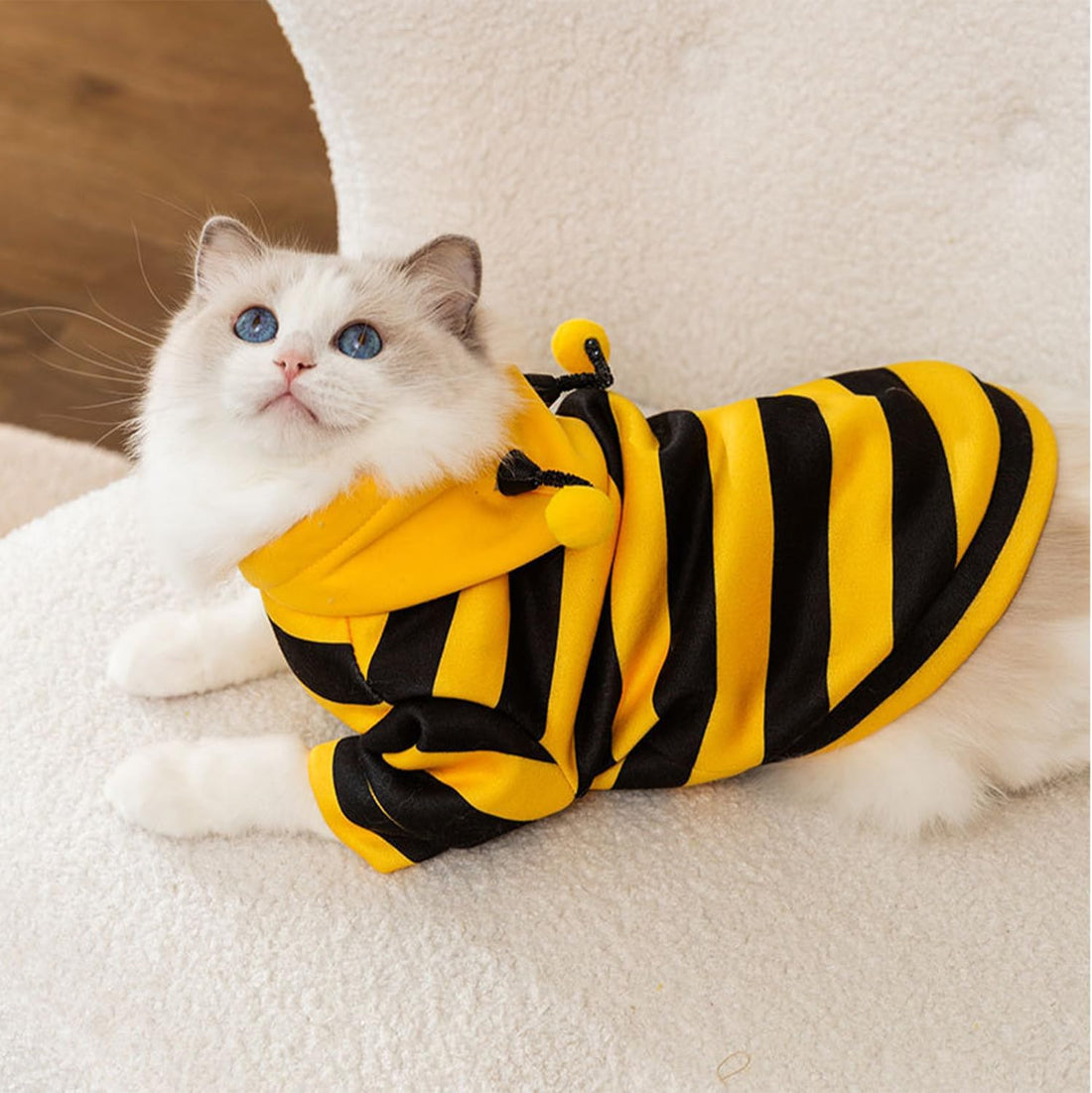 DENTRUN Sphynx Cat Sweater, Funny Bee Costume & Warm Breathable Top