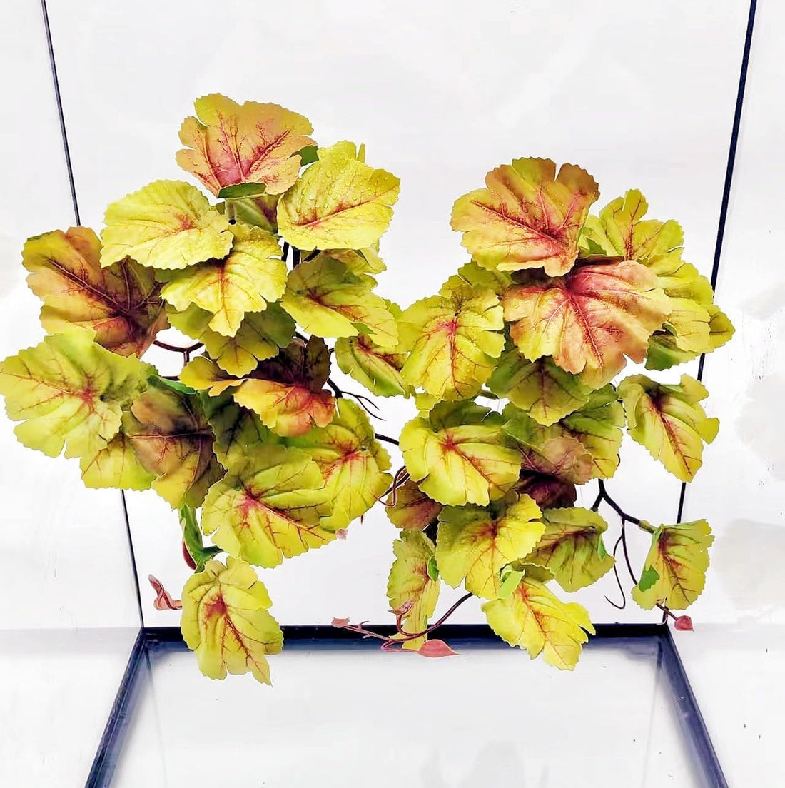 Reptile Plants for Terrarium, Reptile Tank Decor,Artificial Plants