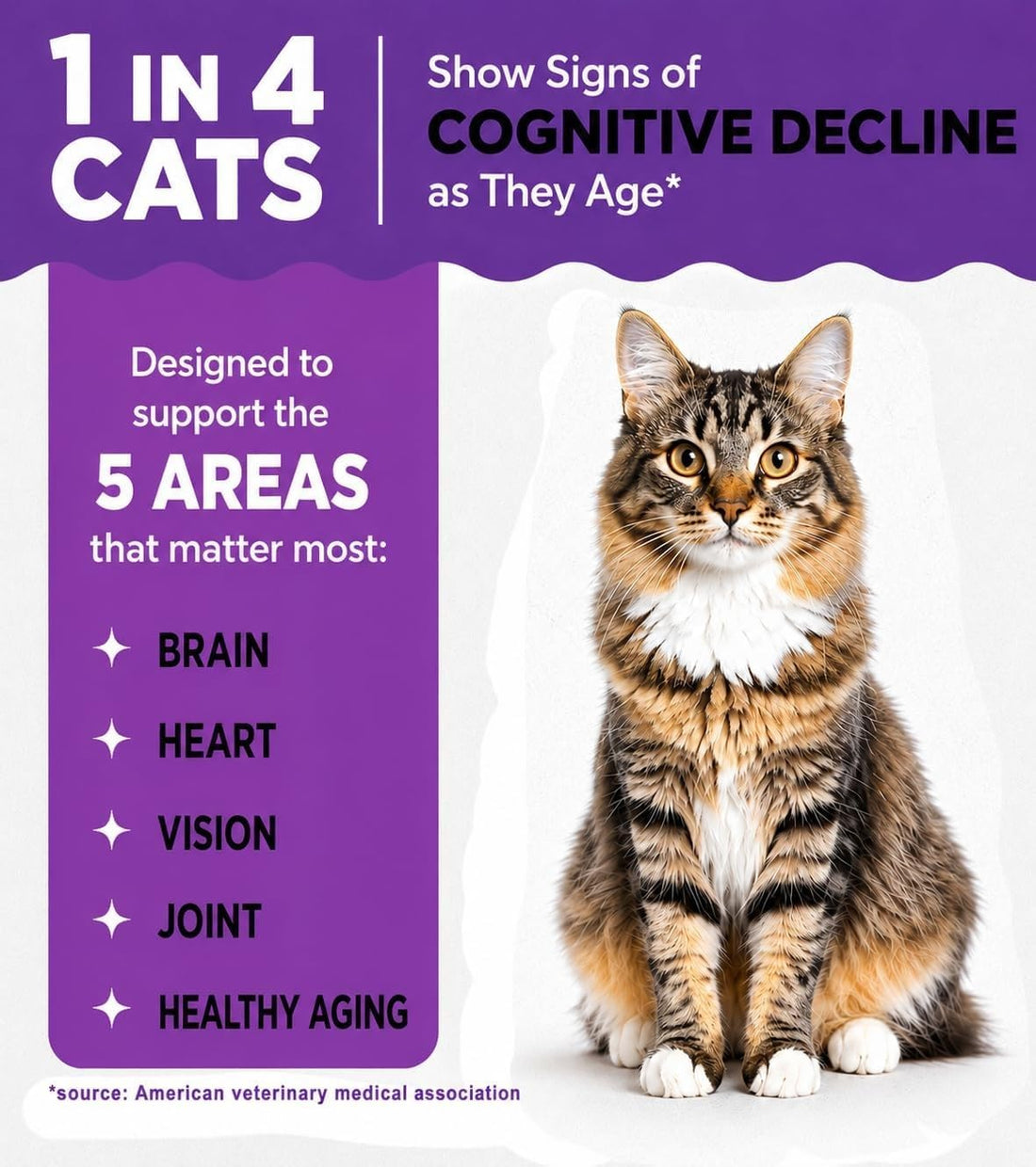 Ear Care for Senior Cats - Brain, Vision & Heart Health Chews
