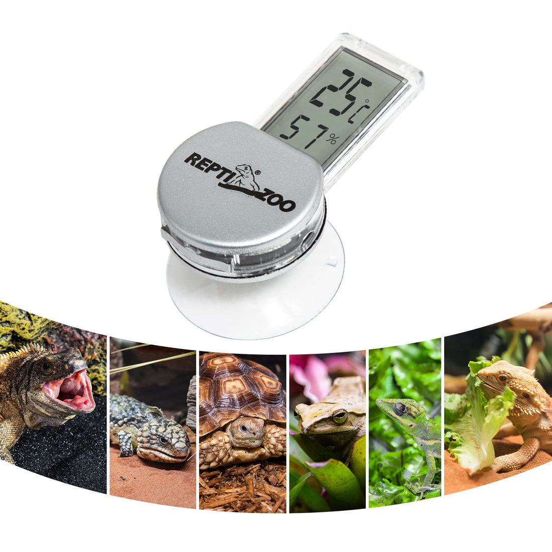 REPTI ZOO Reptile Thermometer Hygrometer with Suction Cup