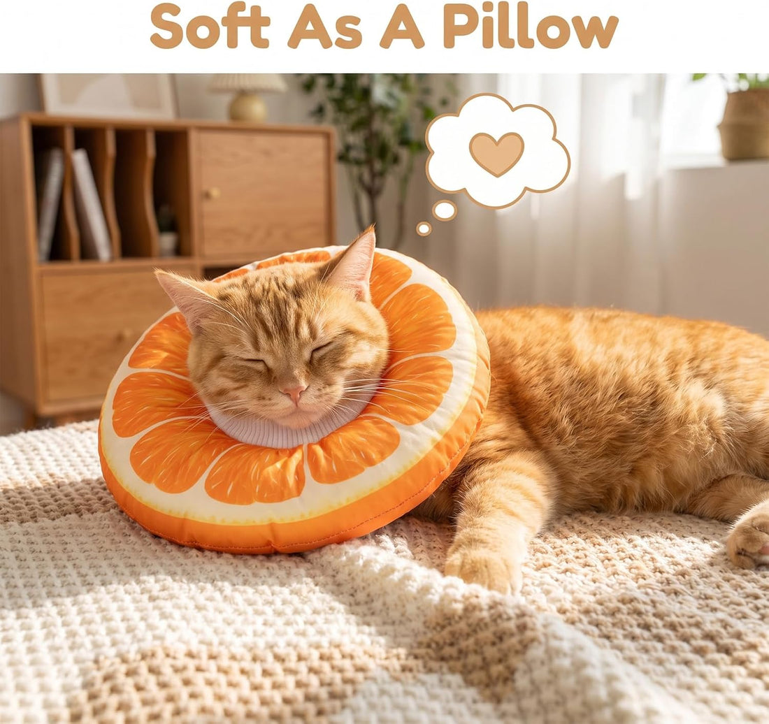 Cat Donut Collar, M Size Adjustable Cat Cone Collar for Kittens