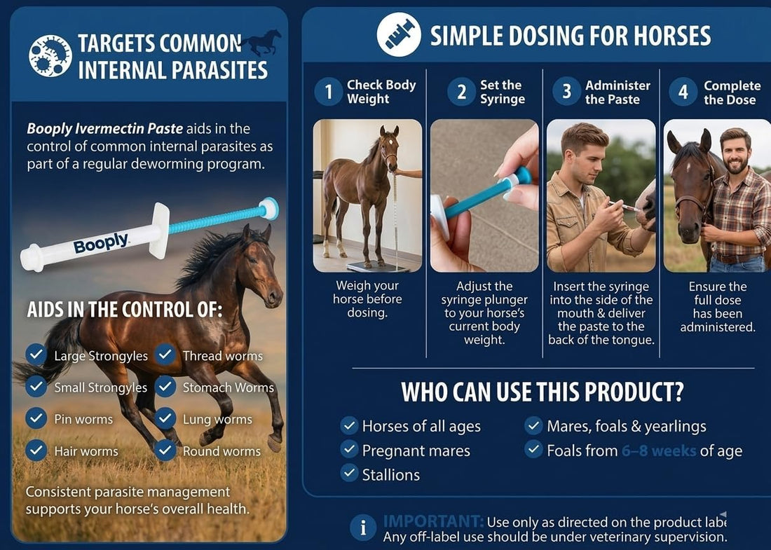 Ivermectin Horse Paste 1.87% - Apple Flavored