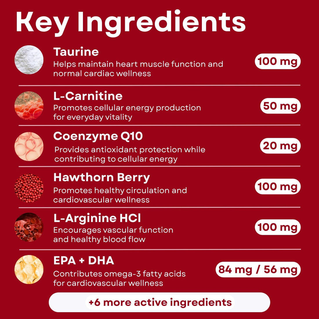 Heart Support Granules for Dogs – Vet-Formulated