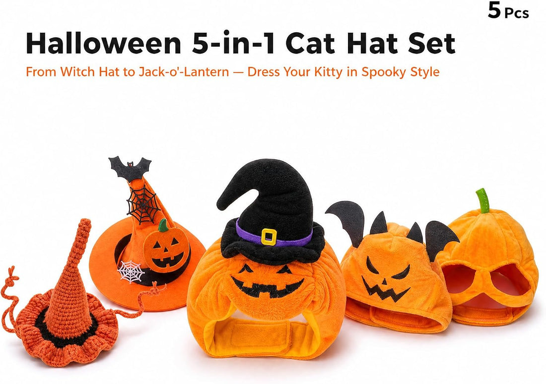 5-Pack Cat Halloween Hat Set - Witch Pumpkin Bat