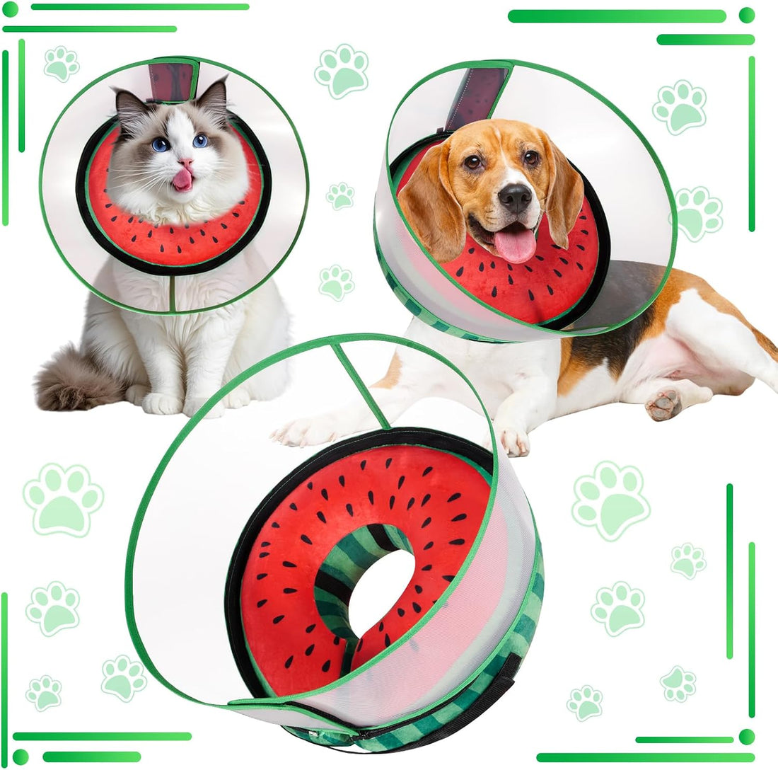 CNEO Inflatable Dog Cone Collar with Detachable Enhanced Anti-Licking