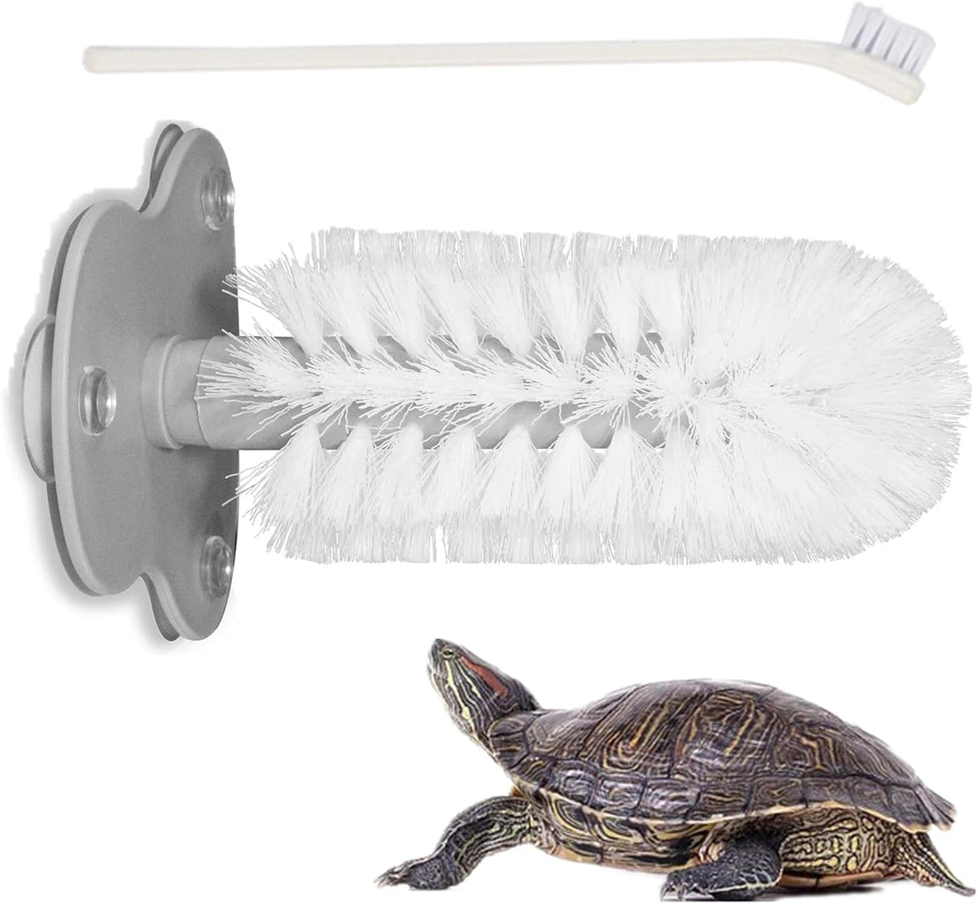 2 Pack Turtle Brush with Suction Cup