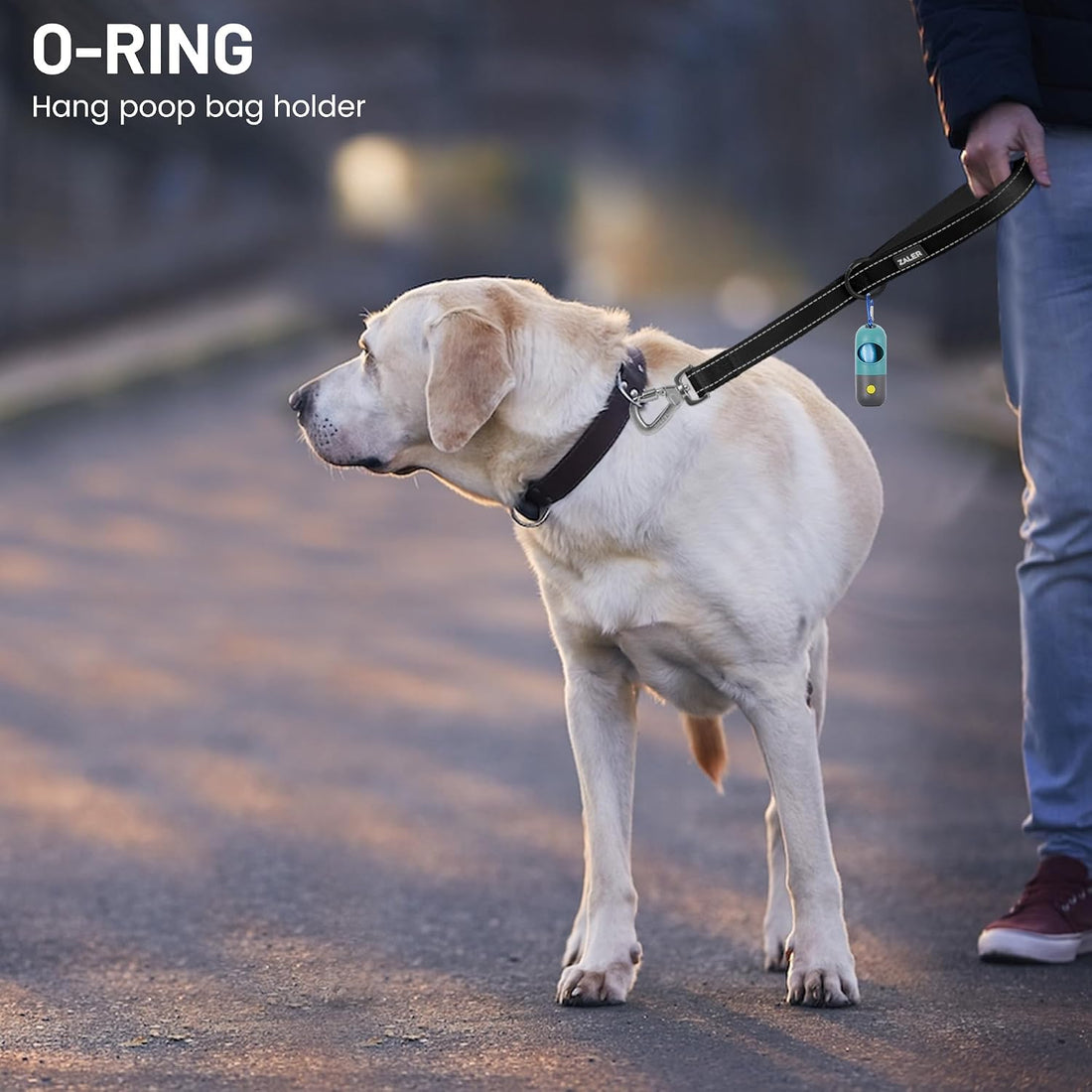 ZALER Short Dog Leash 1 ft, 12 Inches Traffic Leashes for Dogs