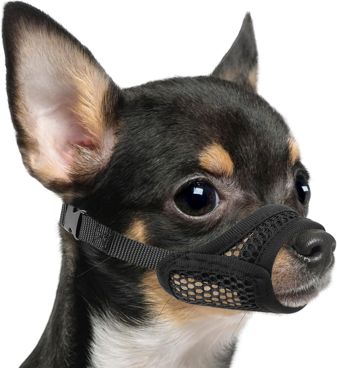 Mayerzon Mesh Muzzle for Short Snout and Small Medium Dogs Anti-Biting