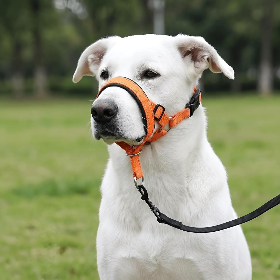 Adjustable Dog Headcollar Muzzle, Nylon, Orange
