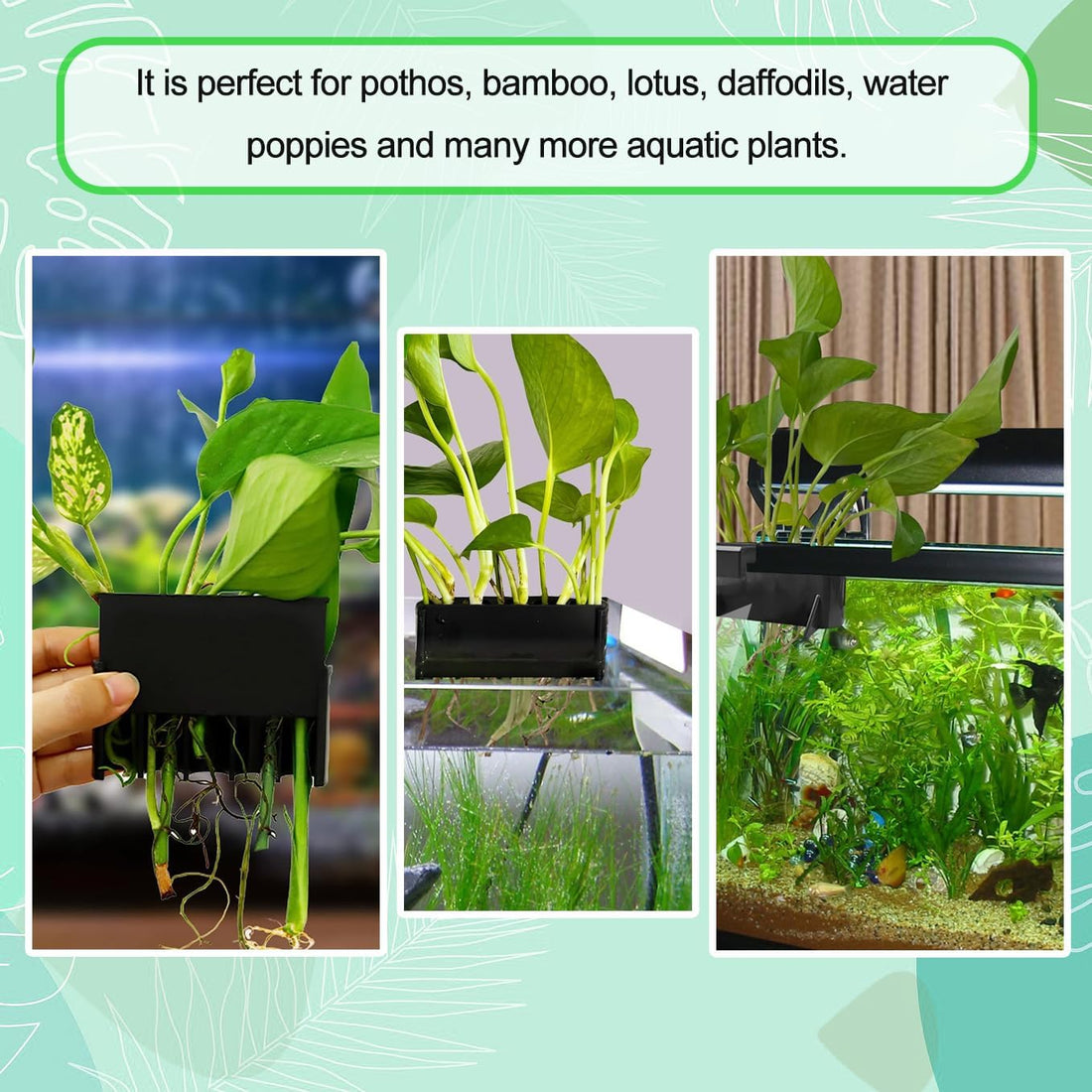 2PC 7 Holes Upgraded Aquarium Plant Holder
