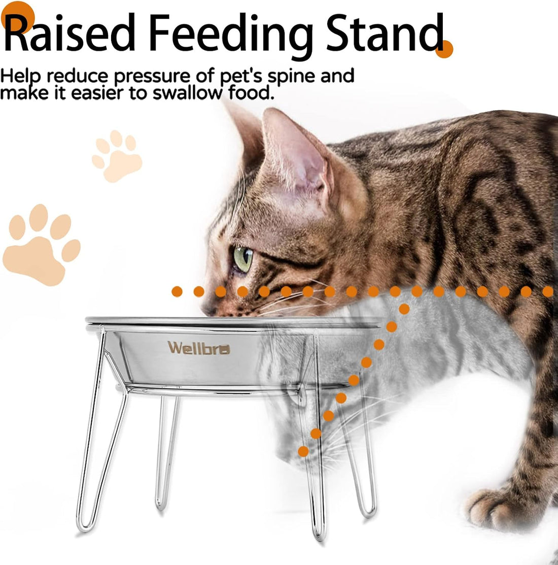 Elevated Cat Bowls, Wide Stainless Steel Cat Food Bowls with Metal