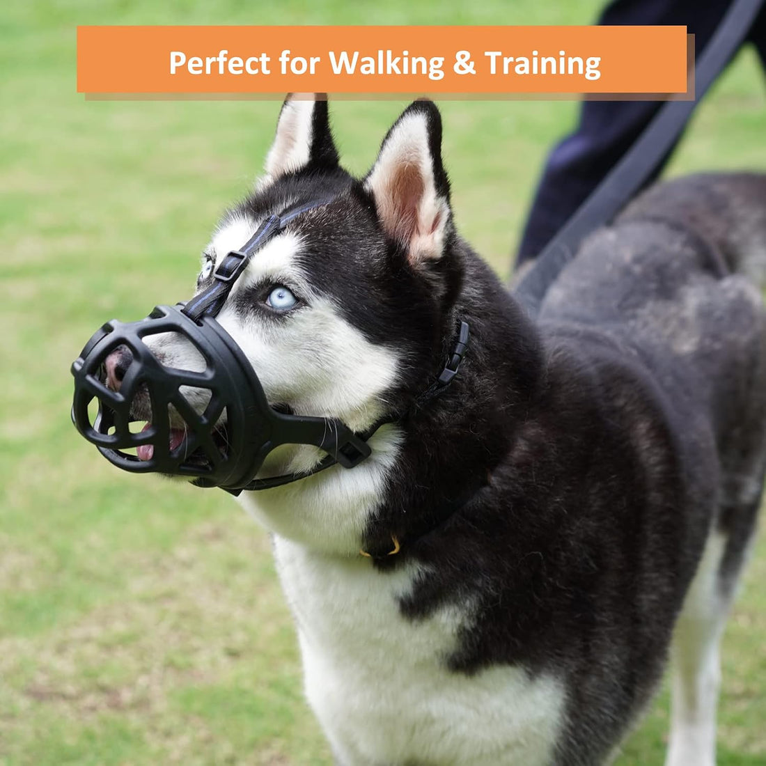 BARKLESS Dog Muzzle, Humane Basket Muzzle for Large Dogs Biting