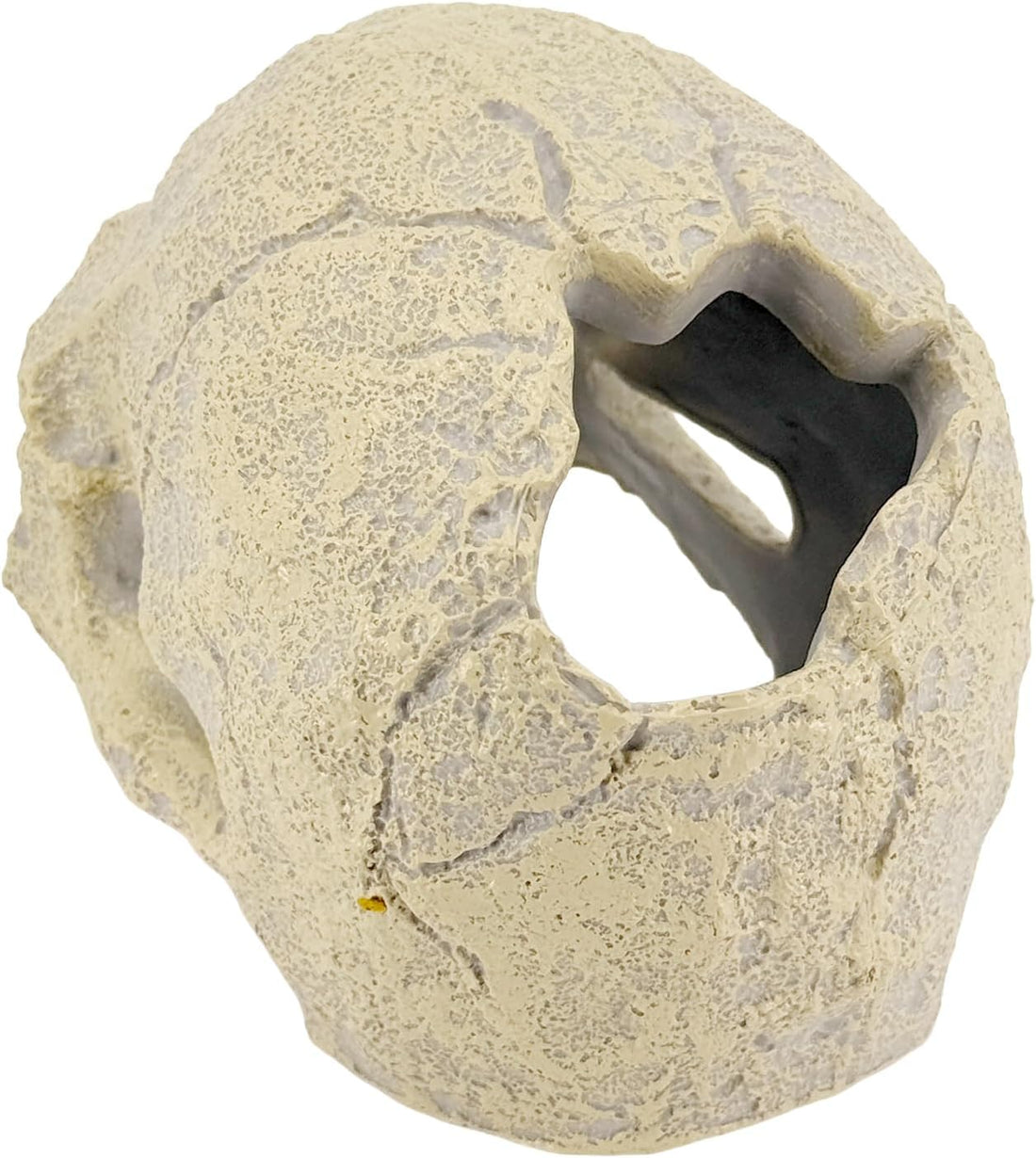 CTWPets Aquarium Human Skull Decor for Betta Fish