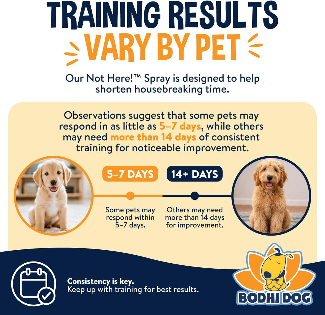 Bodhi Dog Not Here Spray - Trains Pets Where Not To Pee