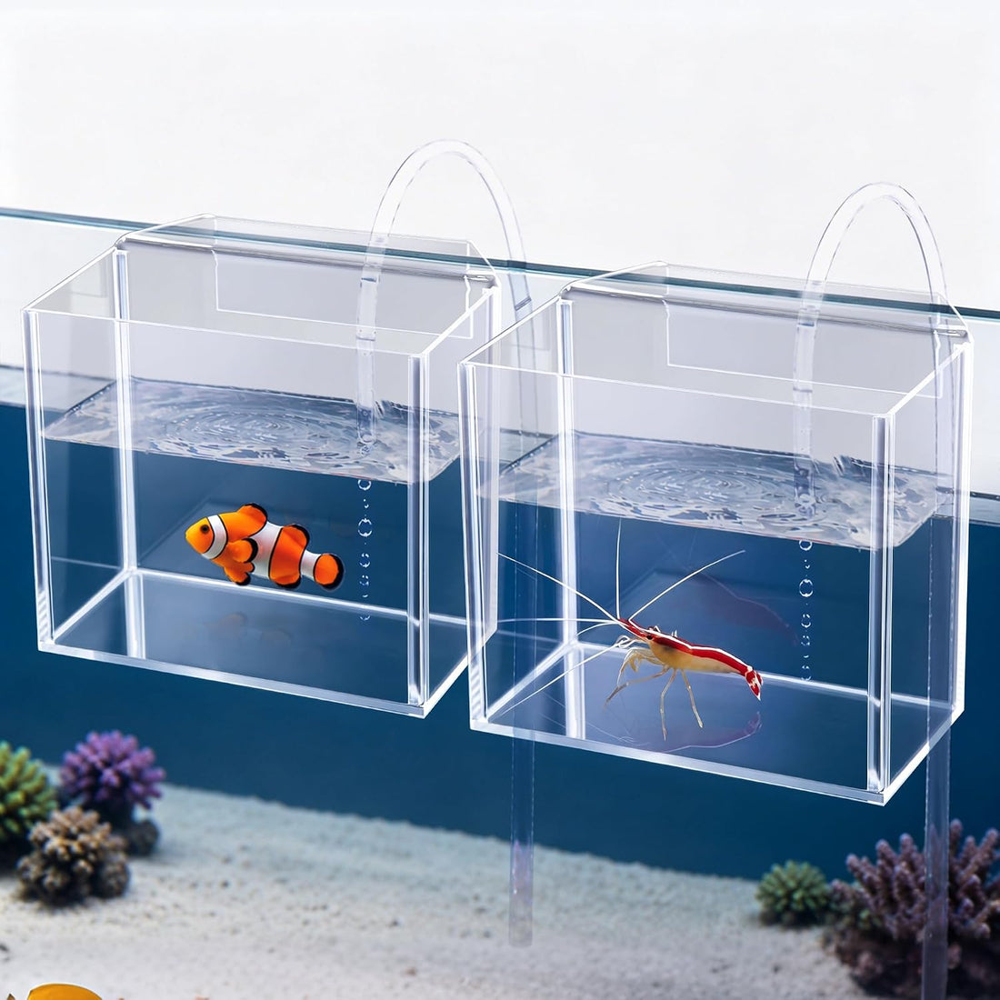 2 Pack Drip Acclimation Container for Fish, Coral & Shrimp
