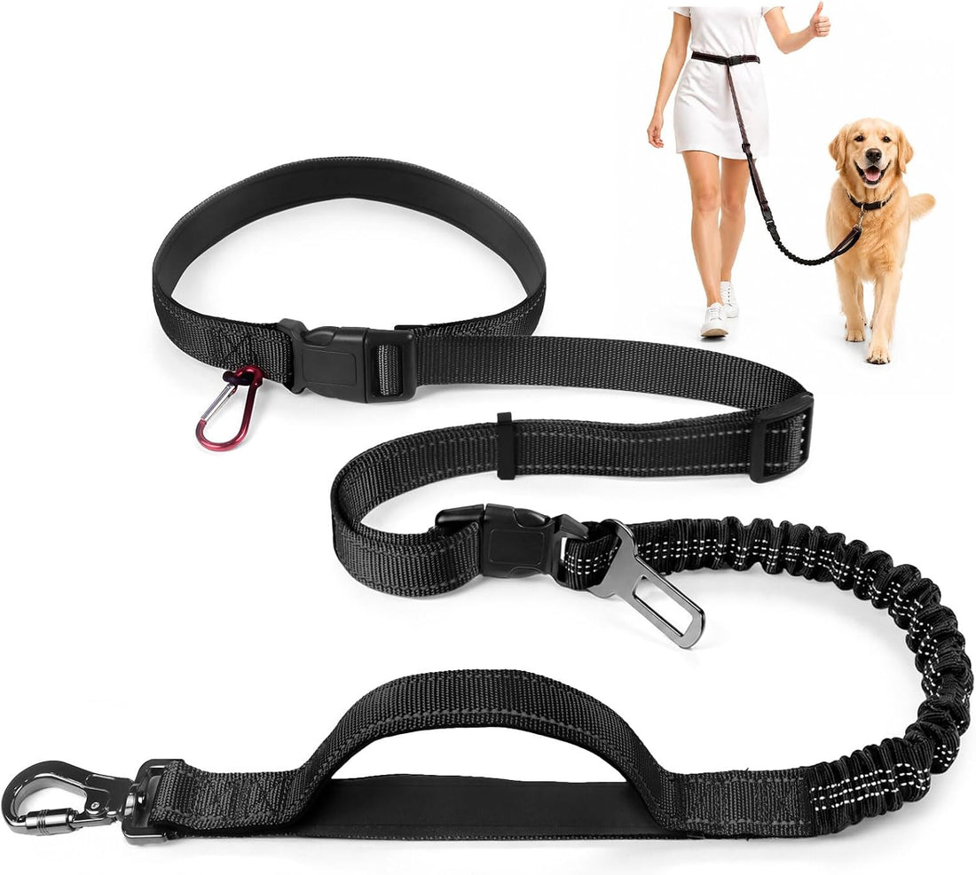 PETCARE 4 in 1 Hands Free Dog Leash with Car Seatbelt Buckle