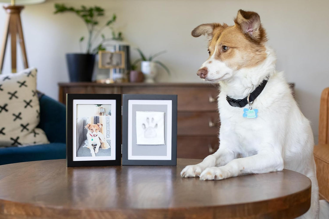 Pearhead Pet Paw Print Photo Frame With Clay Imprint Kit