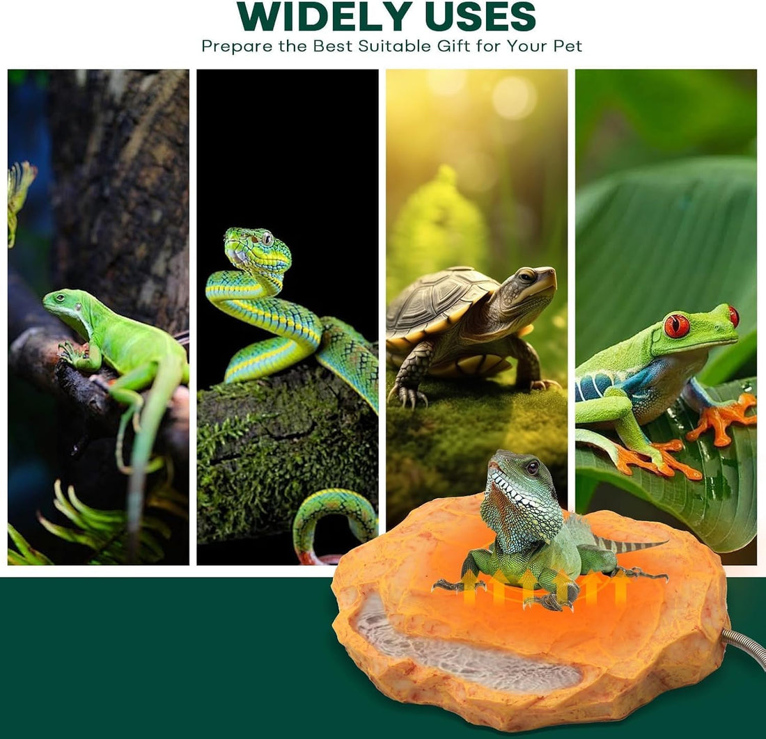 Heat Rocks for Reptiles Heat Rock with Feeding Trough & Temperature