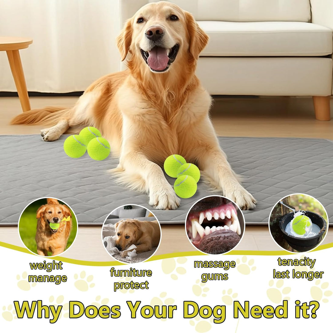 Swingers Squeaky Tennis Balls for Dogs,2.5 inch Training Tennis
