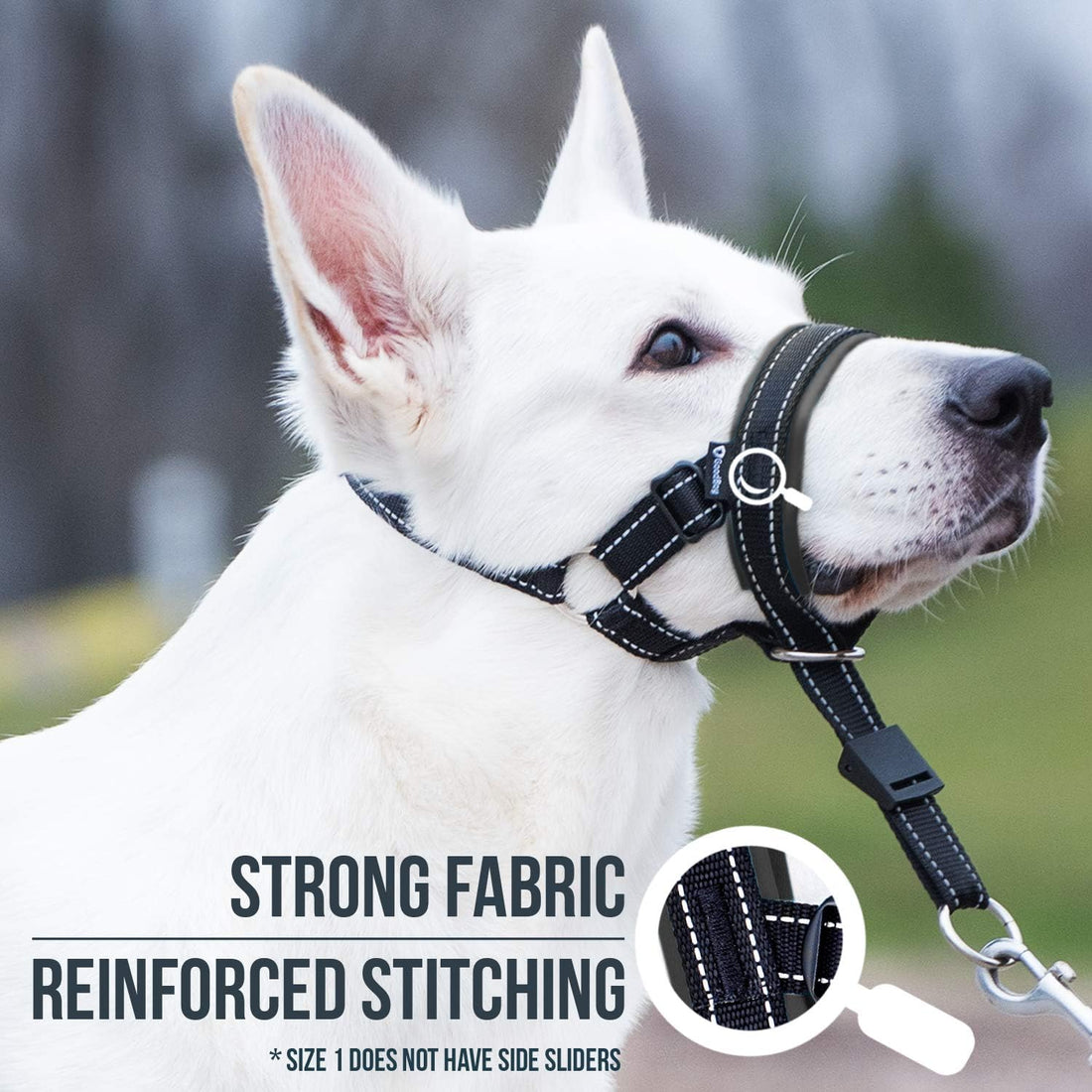 GoodBoy Dog Head Halter with Safety Strap