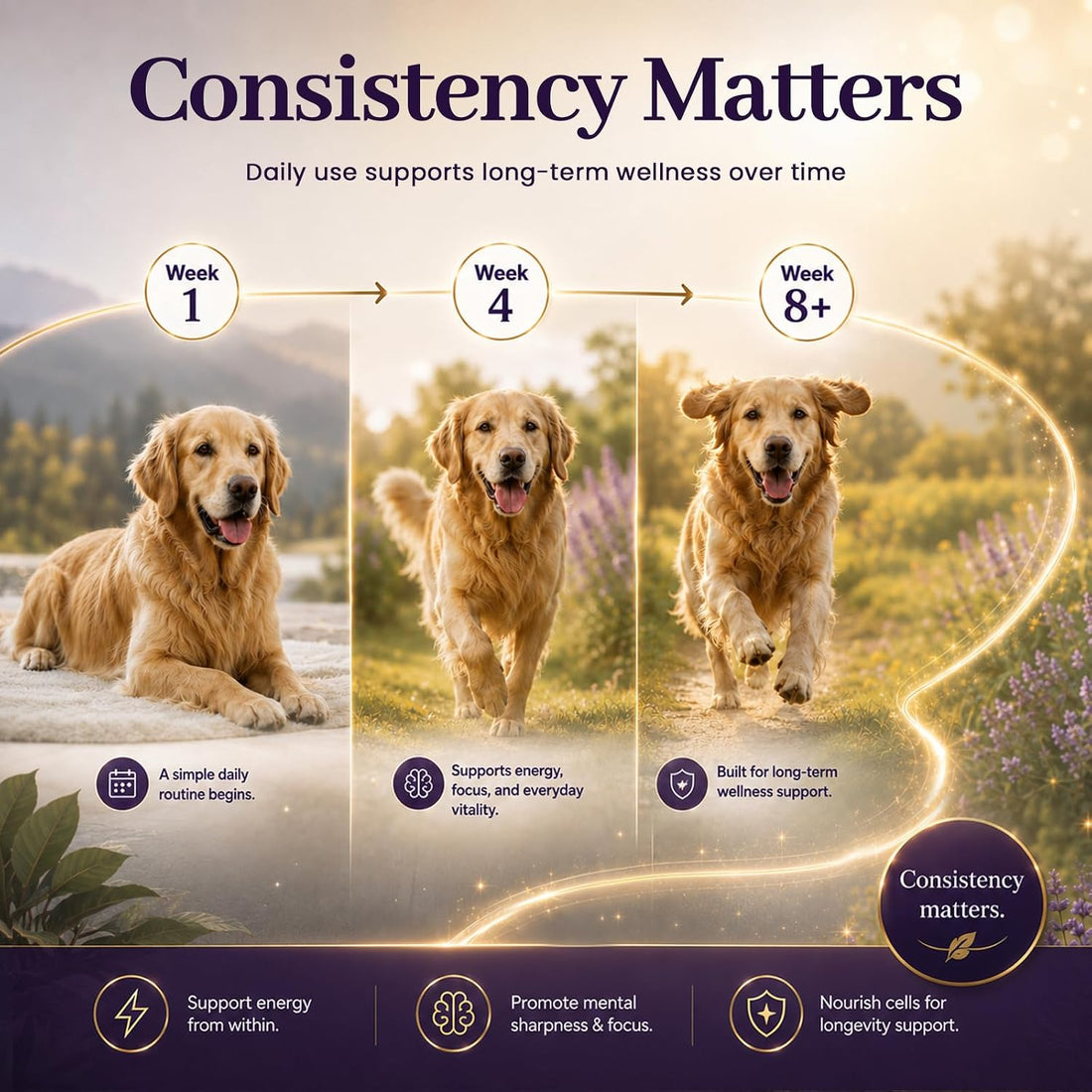 VUN NAD+ Longevity Drop for Senior Dogs Cognitive & Nervous System