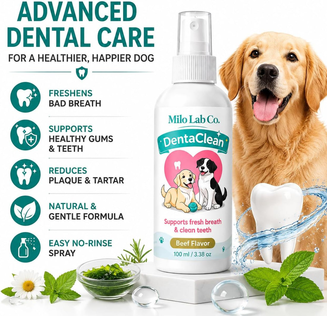 Milolabco Probiotic Dental Spray, Dentaclean Spray for Dogs