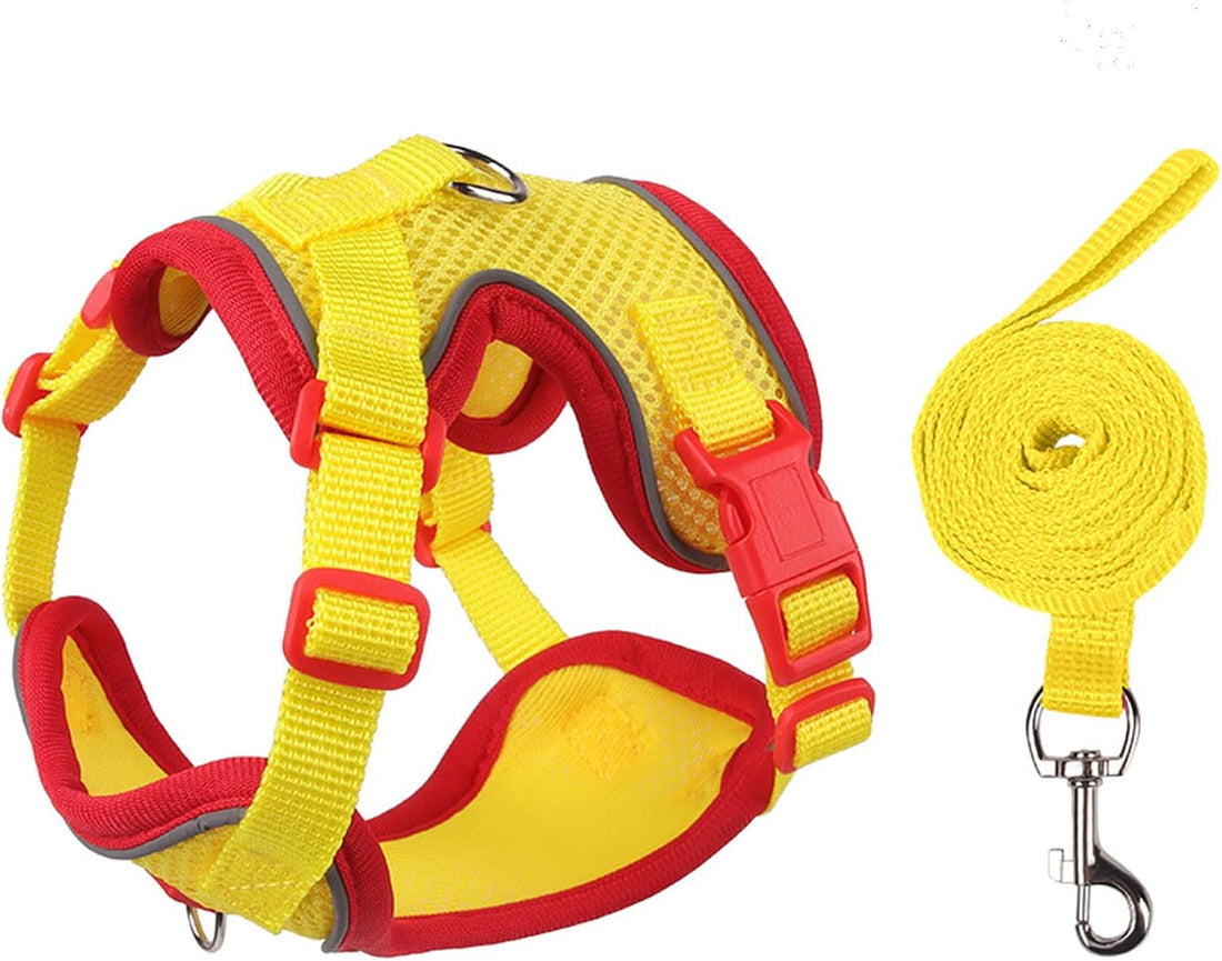 Cat Harness and Leash Set for Walking