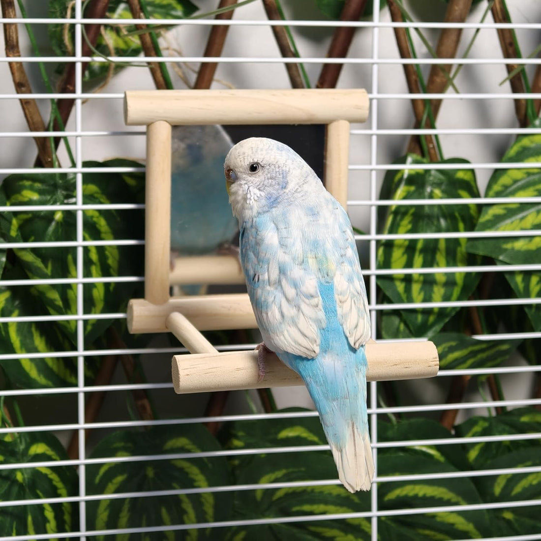 Hamiledyi Bird Mirror Parakeet Mirror Perch Stand Wooden Swing Mirror