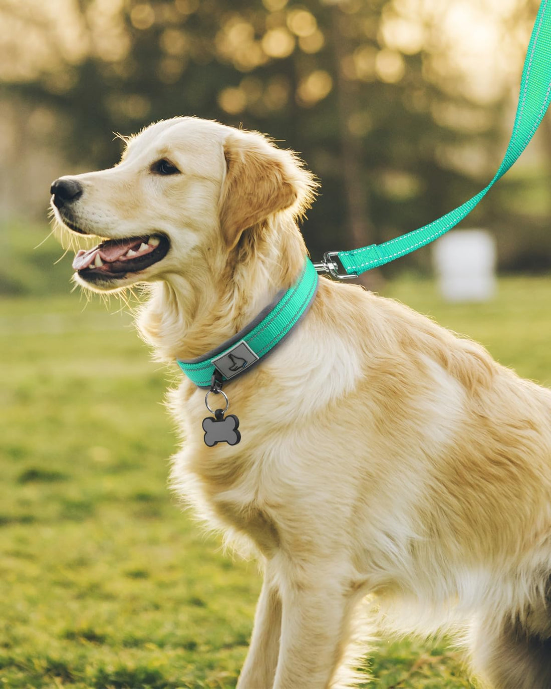 Joytale Dog Collar for Large Dogs, Neoprene Padded and Adjustable