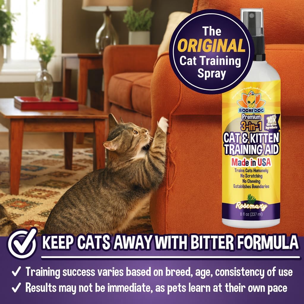 Bodhi 3-in-1 Cat & Kitten Training Aid