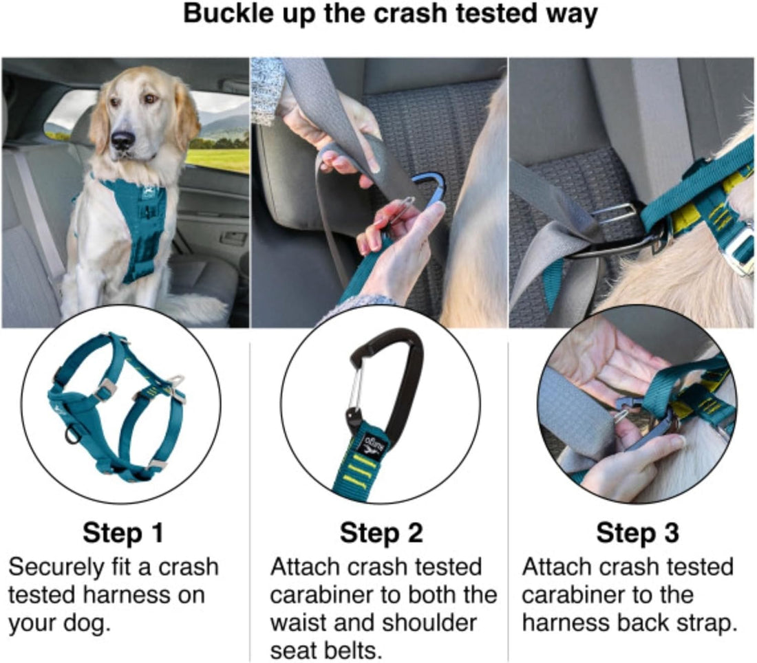 Kurgo Enhanced Strength Tru-Fit Smart Harness